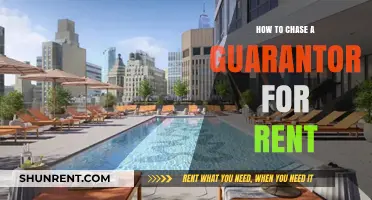 Chasing a Guarantor for Rent: Effective Strategies and Legal Steps