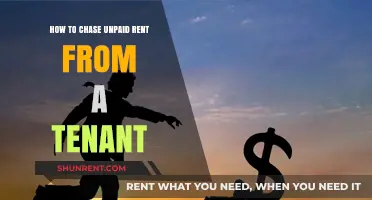 Effective Strategies for Landlords to Recover Unpaid Rent from Tenants