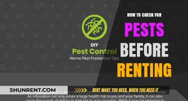 Avoid Unwanted Guests: Essential Pest Inspection Tips for Renters