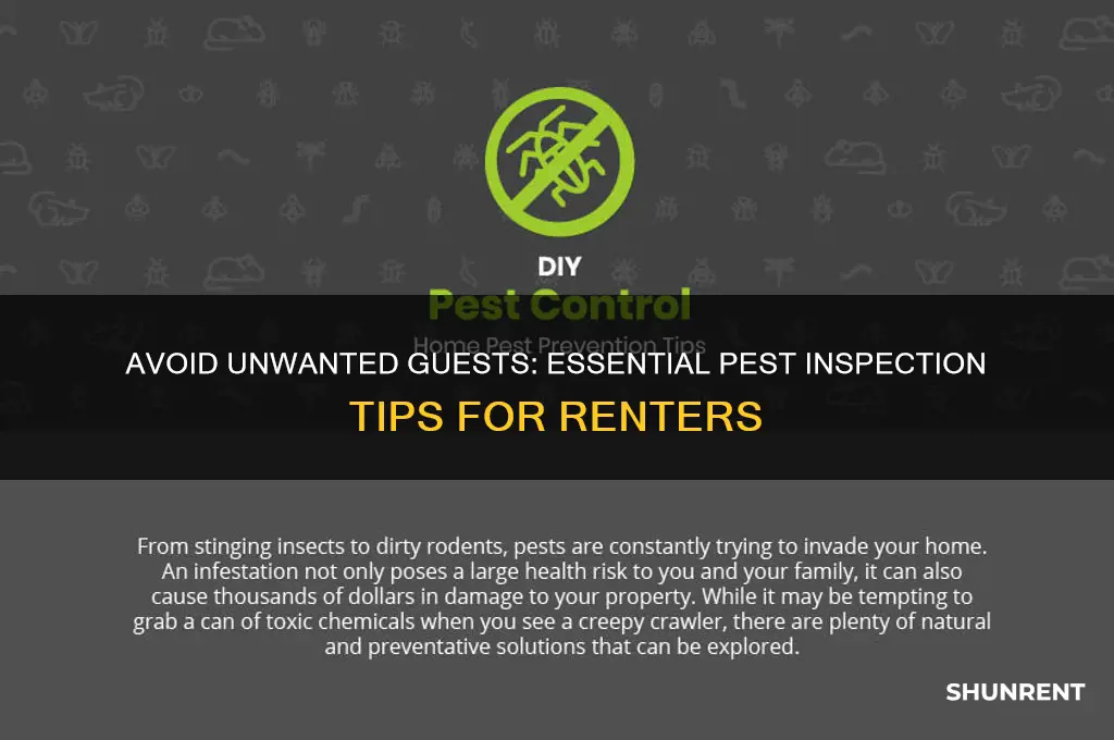 how to check for pests before renting