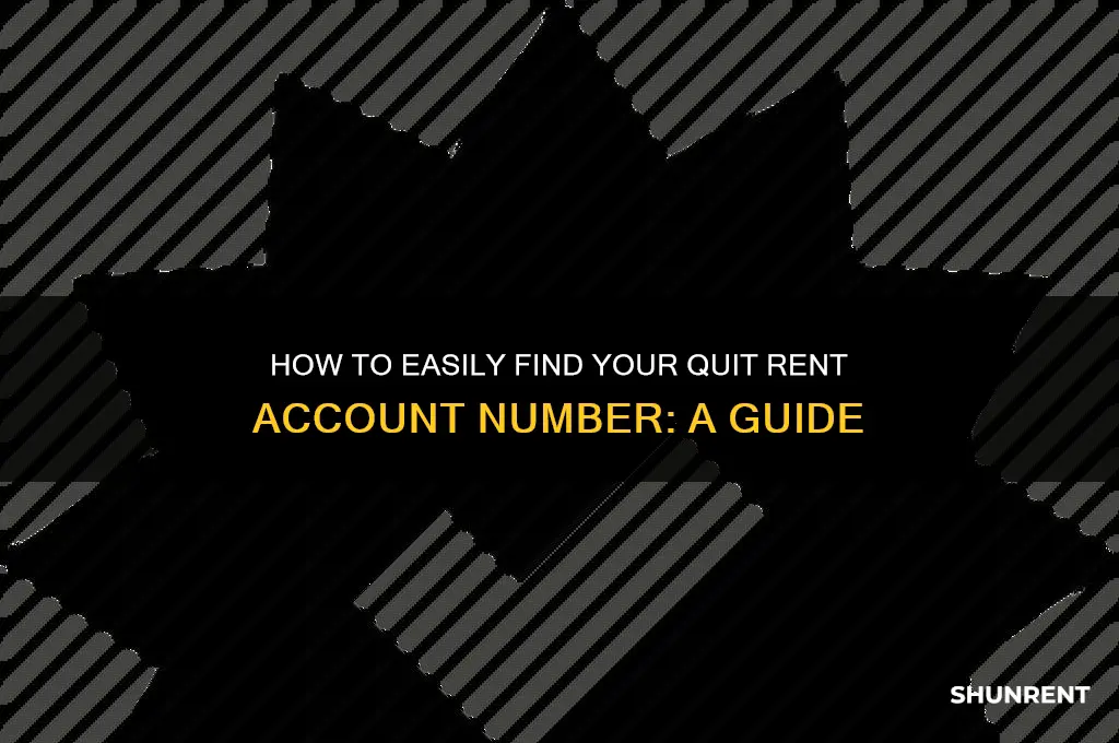 how to check quit rent account number