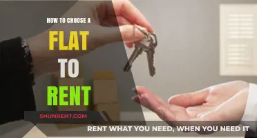 Essential Tips for Selecting the Perfect Rental Flat for You