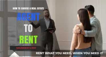 Selecting the Perfect Real Estate Agent for Your Rental Journey