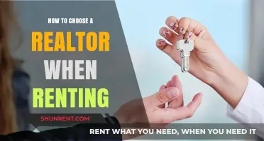 Choosing the Right Realtor for Your Rental Journey: A Guide