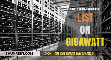 Selecting the Perfect Miner Rent List on Gigawatt: A Comprehensive Guide