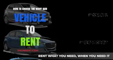 Selecting the Perfect Rental Vehicle Size for Your Travel Needs
