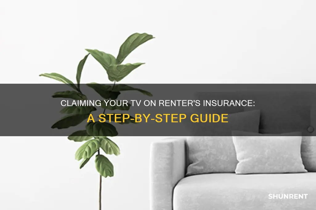 how to claim tv on my renter insurance