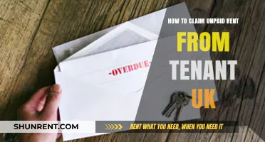Claiming Unpaid Rent in the UK: A Landlord's Step-by-Step Guide