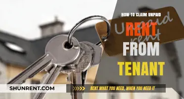 Effective Strategies to Recover Unpaid Rent from Your Tenant