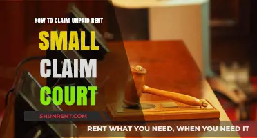 Claiming Unpaid Rent: A Step-by-Step Guide to Small Claims Court