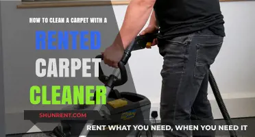 Mastering Carpet Cleaning: A Step-by-Step Guide with Rented Equipment