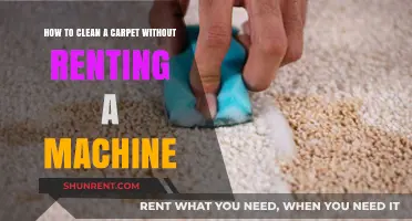 Easy DIY Carpet Cleaning: No Machine Needed, Spotless Results Guaranteed