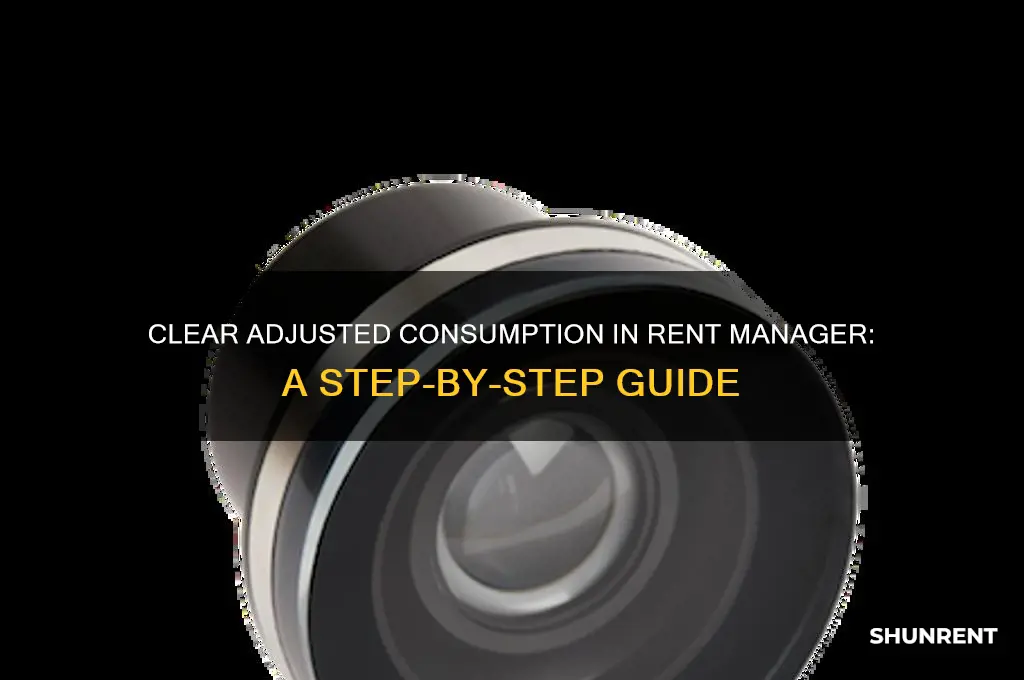 how to clear adjusted consumption on rent manager