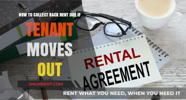 Recovering Back Rent: Strategies for Landlords After Tenant Vacates