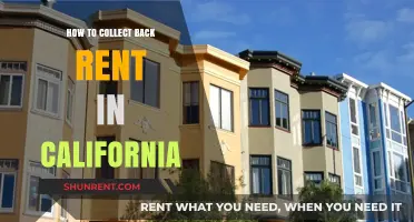 Effective Strategies for Collecting Back Rent in California Legally
