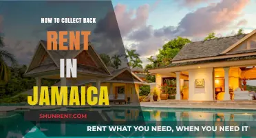 Effective Strategies for Collecting Back Rent in Jamaica: A Comprehensive Guide