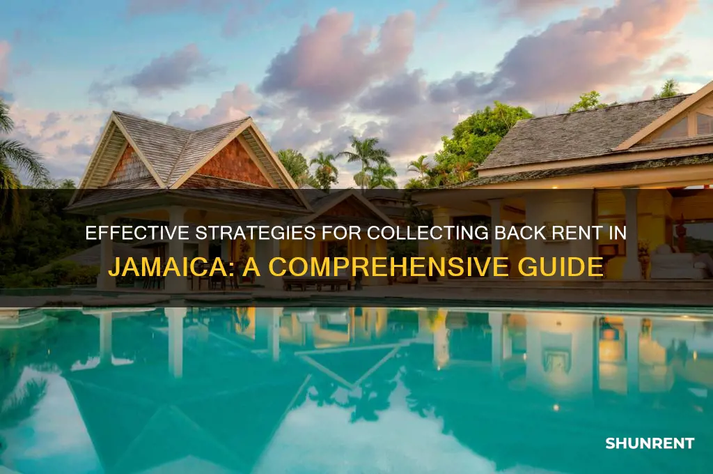 how to collect back rent in jamaica
