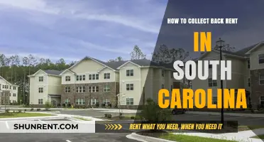 Effective Strategies for Collecting Back Rent in South Carolina