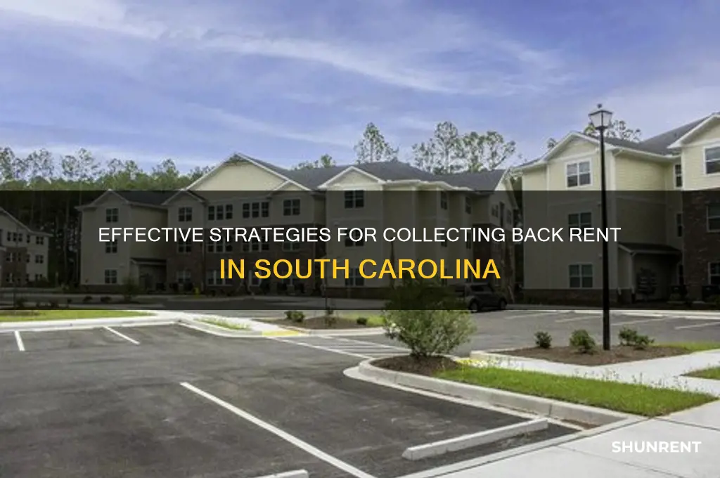 how to collect back rent in south carolina