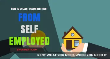 Effective Strategies for Collecting Delinquent Rent from Self-Employed Tenants