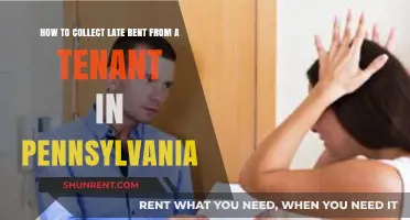 Effective Strategies for Collecting Late Rent in Pennsylvania
