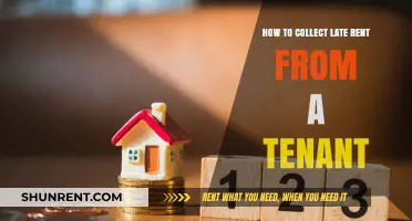 Effective Strategies for Collecting Late Rent from Tenants