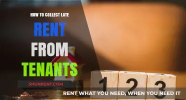 Effective Strategies for Collecting Late Rent from Tenants