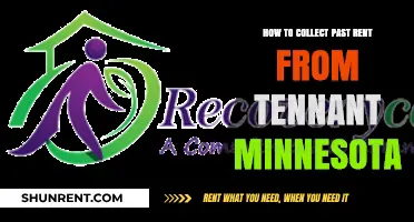 Effective Strategies for Recovering Unpaid Rent from Tenants in Minnesota