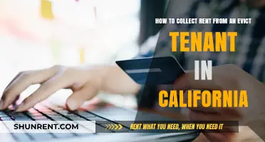 Collecting Rent from Evicted Tenants in California: A Legal Guide