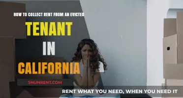 California Eviction Rent Recovery: Strategies for Collecting from Evicted Tenants