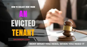 Effective Strategies for Collecting Rent from Evicted Tenants Post-Eviction