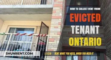Evicted Tenant Rent Collection: Ontario Landlord's Guide to Recovery