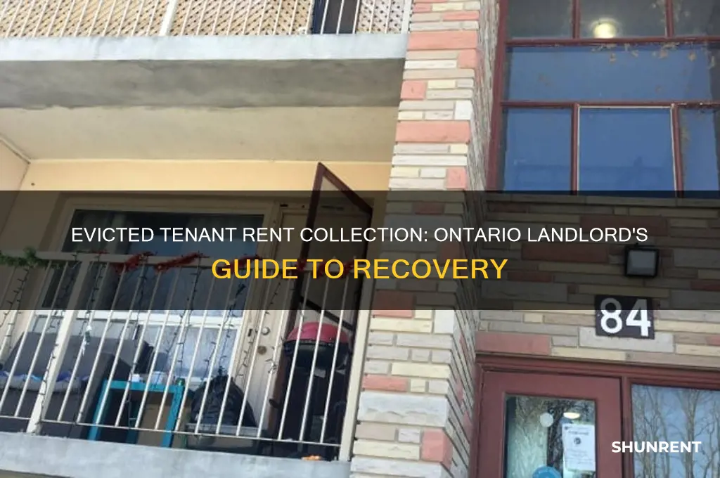 how to collect rent from evicted tenant ontario