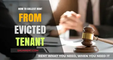 Effective Strategies for Collecting Rent from Evicted Tenants Legally