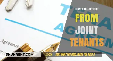 Efficient Rent Collection Strategies for Joint Tenants: A Comprehensive Guide