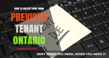 Ontario Rent Recovery: Steps to Collect from Previous Tenants Legally