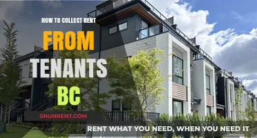 Efficient Rent Collection Strategies for BC Landlords: Tips and Tools