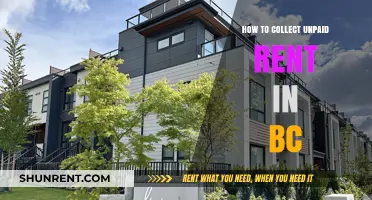Effective Strategies for Collecting Unpaid Rent in British Columbia