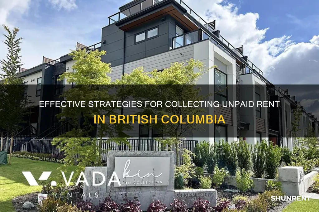 how to collect unpaid rent in bc