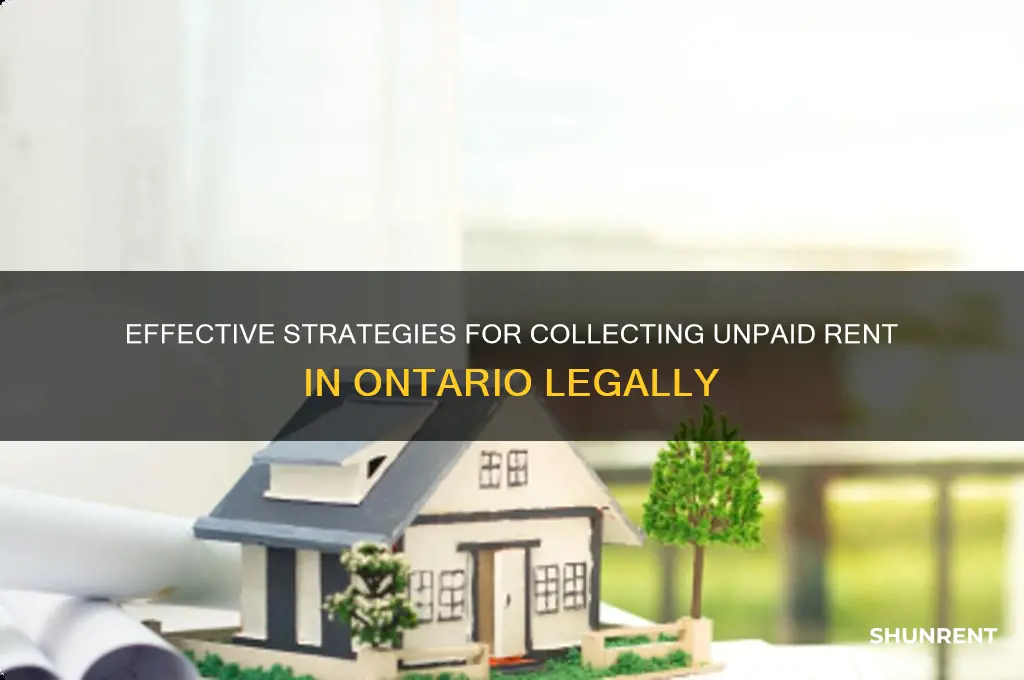 how to collect unpaid rent in ontario
