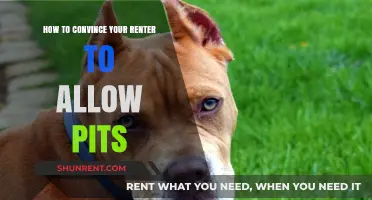 Persuading Your Landlord: Tips to Allow Pit Bulls in Rentals