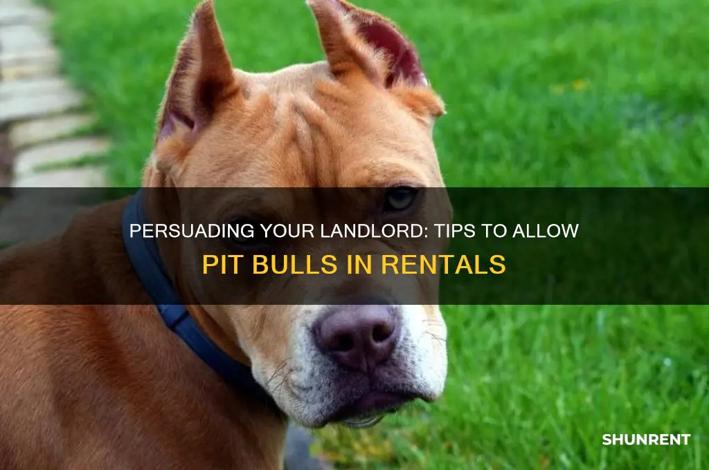 how to convince your renter to allow pits
