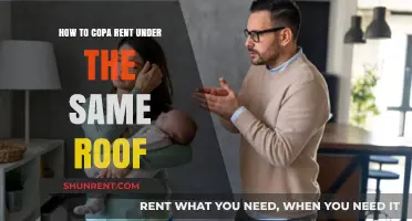 Co-Parenting Under One Roof: Strategies for Harmony and Cooperation