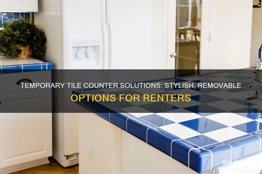 how to cover tile counter when renting