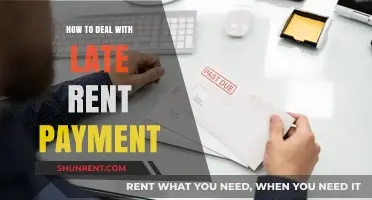 Effective Strategies for Handling Late Rent Payments as a Landlord