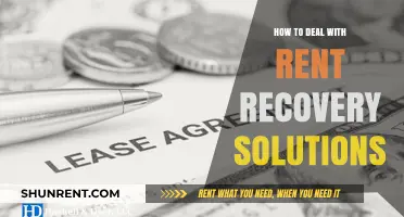 Effective Strategies for Navigating Rent Recovery Solutions and Resolving Disputes