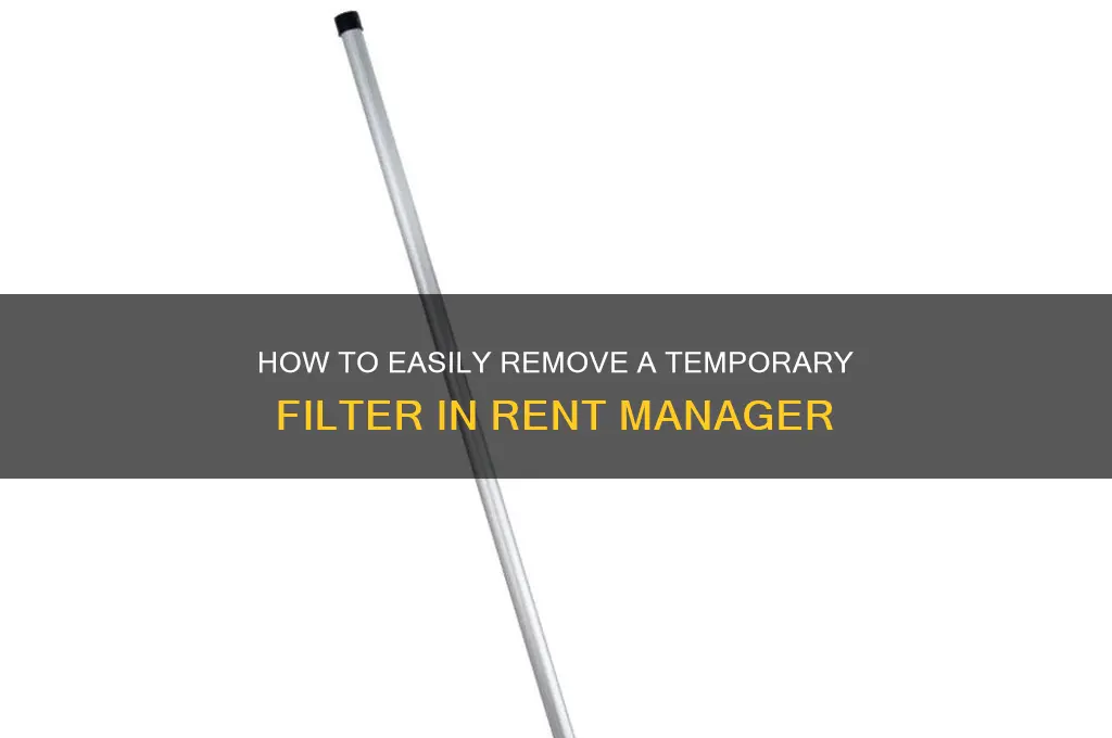 how to delete a temp filter on rent manager
