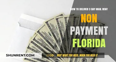 Florida Rent Non-Payment: 3-Day Mail Delivery Guide for Landlords