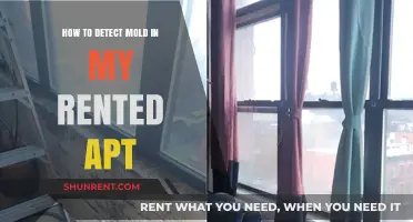 Spotting Mold in Your Rental: A Comprehensive Detection Guide