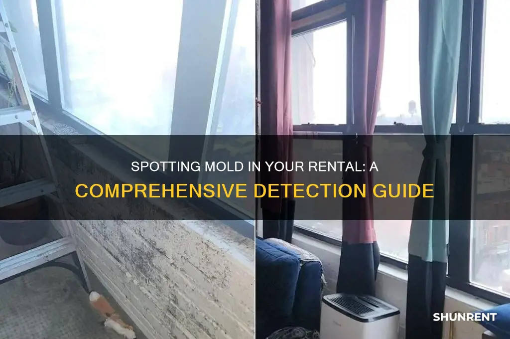 how to detect mold in my rented apt